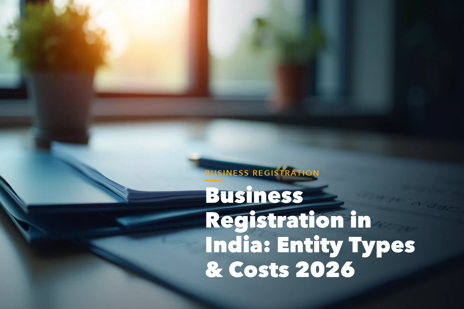 Business registration in India guide visual comparing entity types sole proprietorship LLP Pvt Ltd OPC and costs